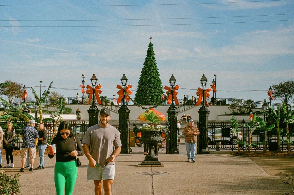 Christmas decorations and tree displayed at entrance gate with visitors viewing the holiday scene.
