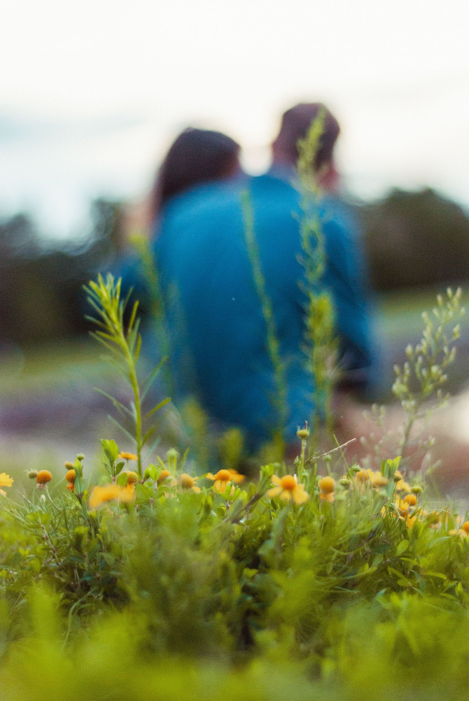 Yellow flowers in the grass in front of a couple sitting on a wall by a lake at Furman University in Greenville, SC