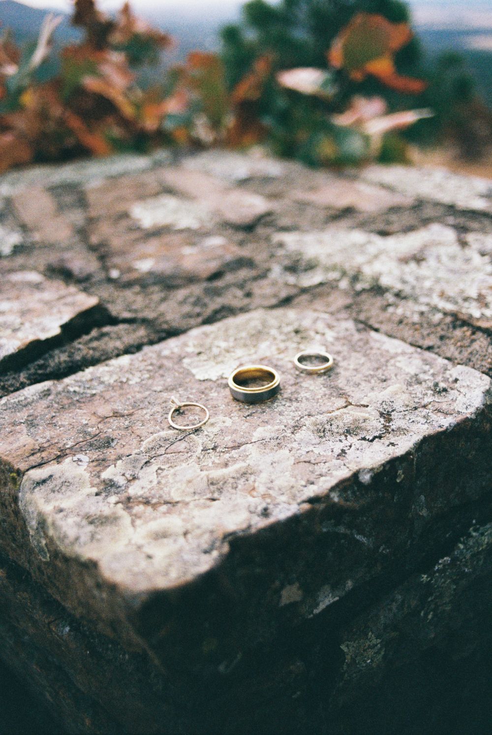 petit jean wedding on film, Springfield Missouri film photographer