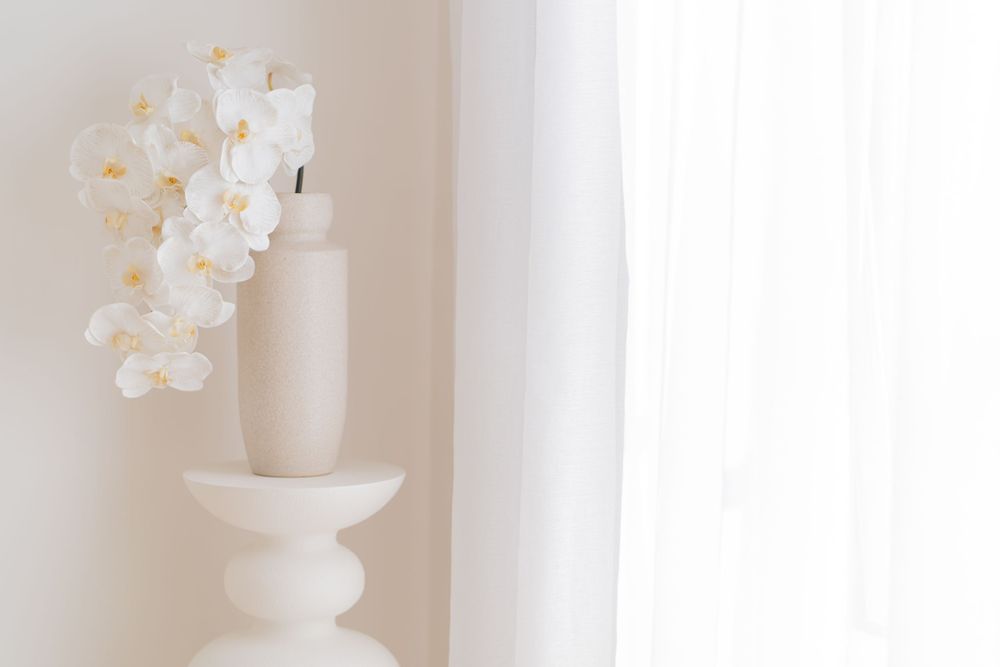 White orchids in elegant vase against bright window with sheer curtains.