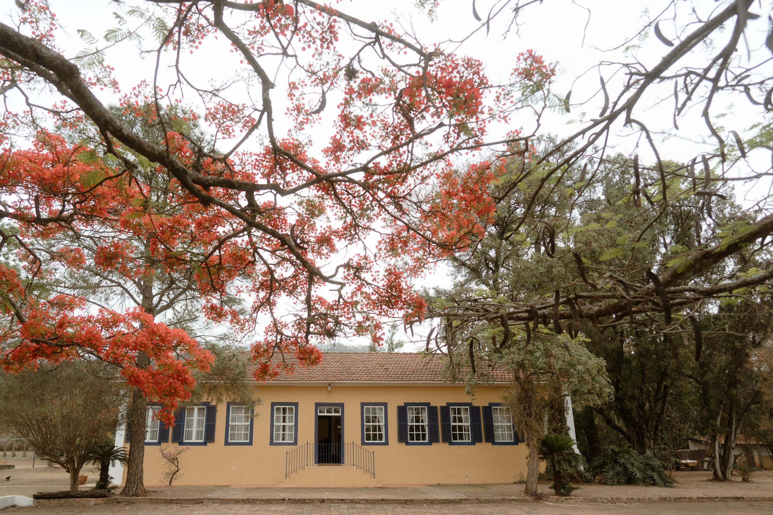 Autumn trees with orange leaves frame a historic white building with tall windows and classic architecture.