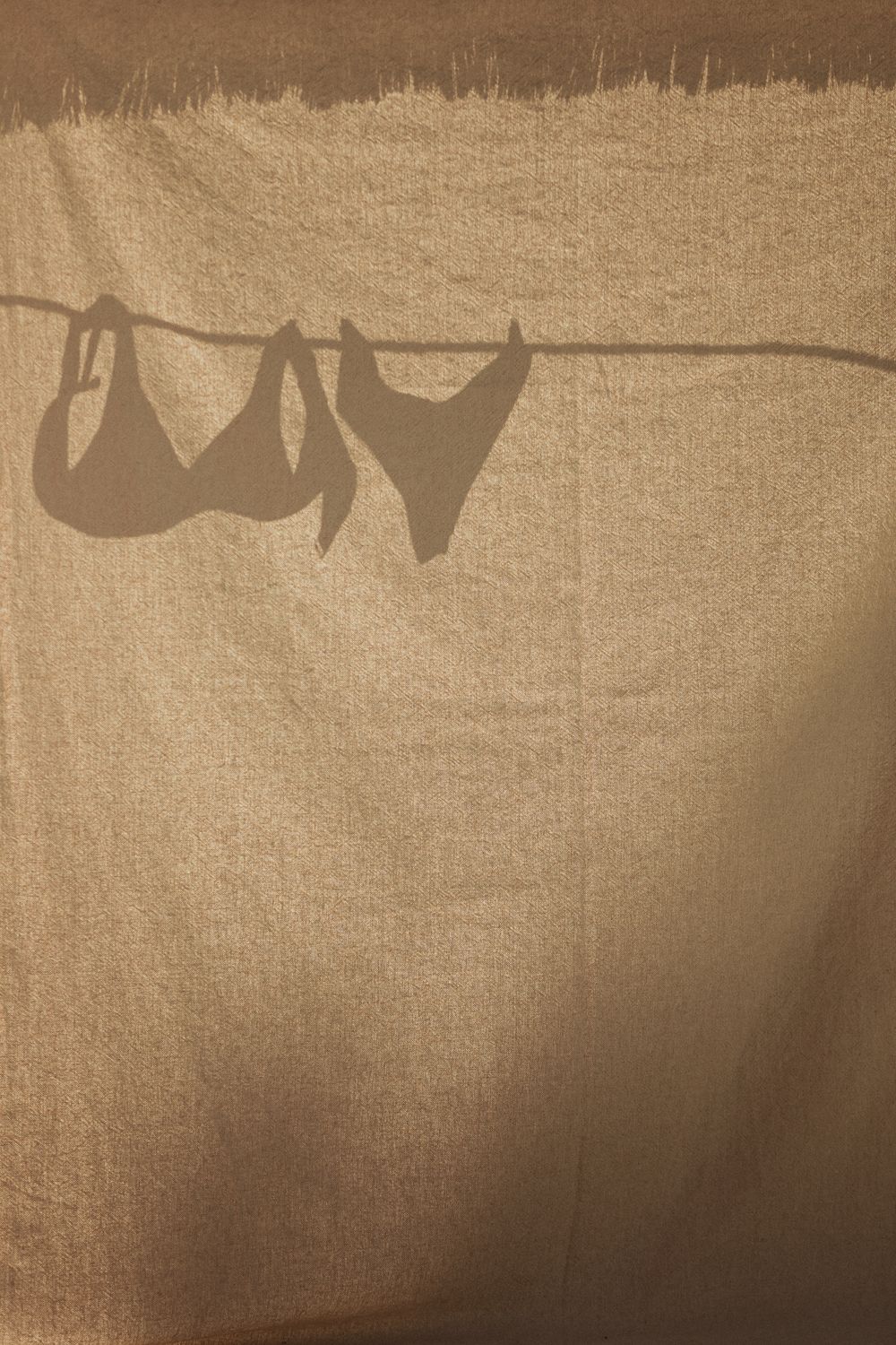 Silhouettes of laundry hanging on a clothesline cast shadows against a sepia-toned textured background.