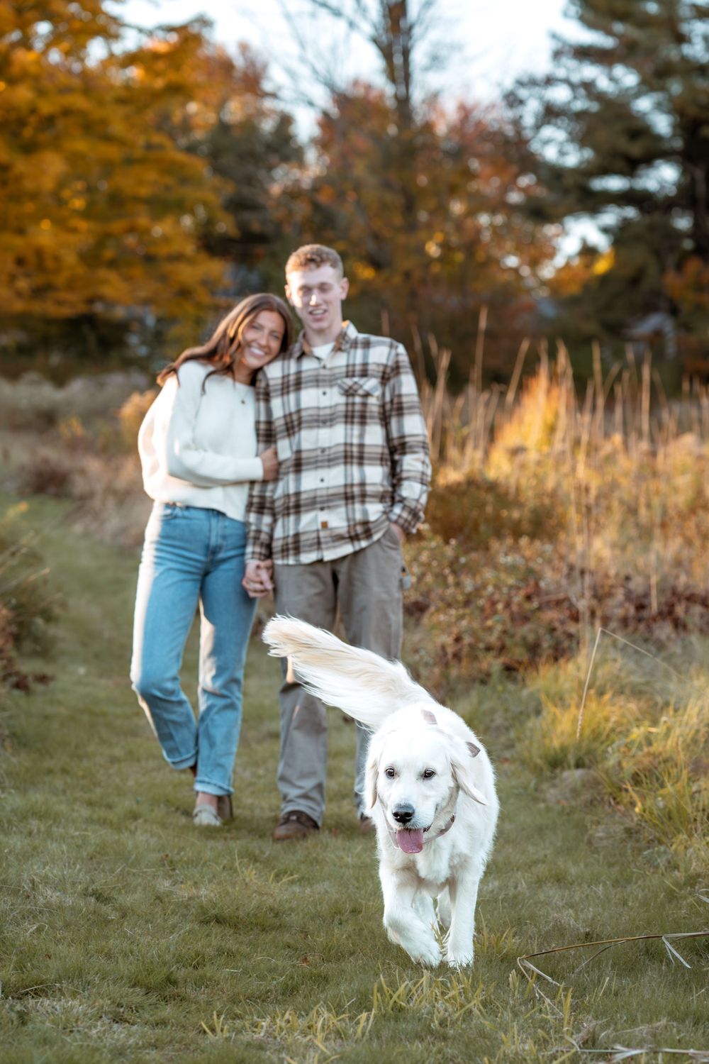 Couple walking with their happy white dog through autumn field at sunset.