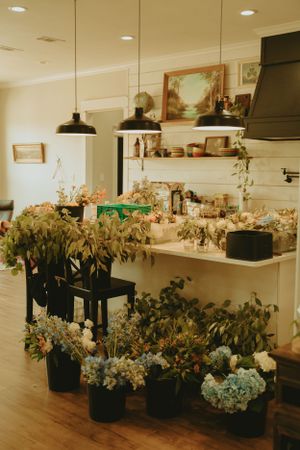 Vintage Wedding Photography In Texas, backyard wedding photographer-affordable and retro style