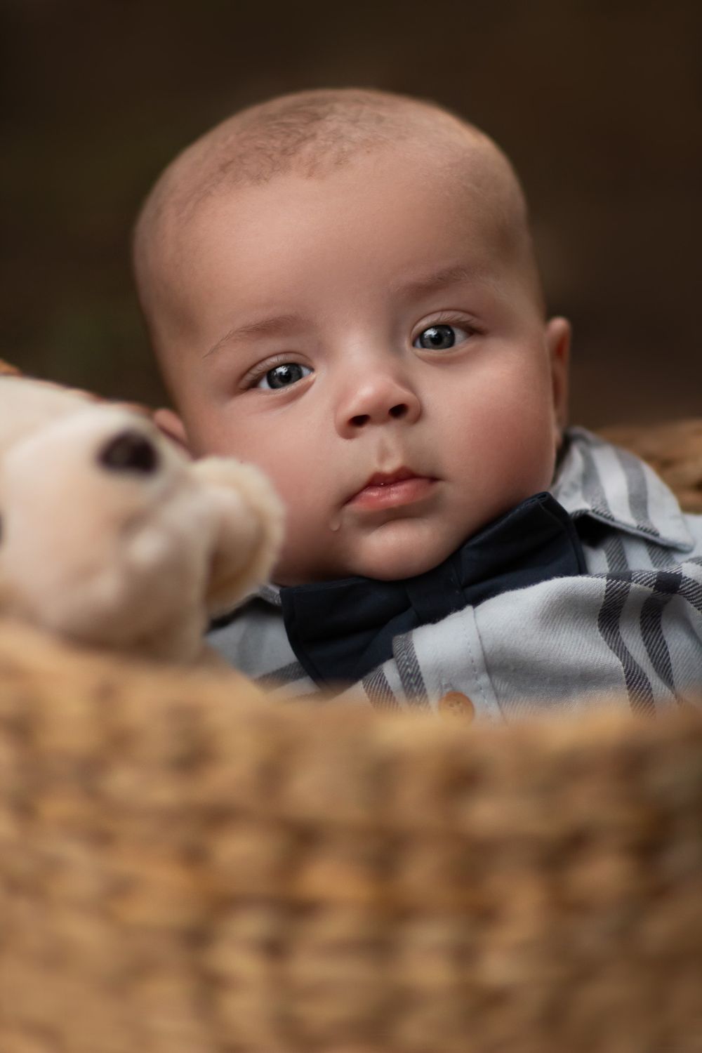 Baby in a basket during family photoshoot in Joplin, Missouri. Captured by Joplin family photographer.
