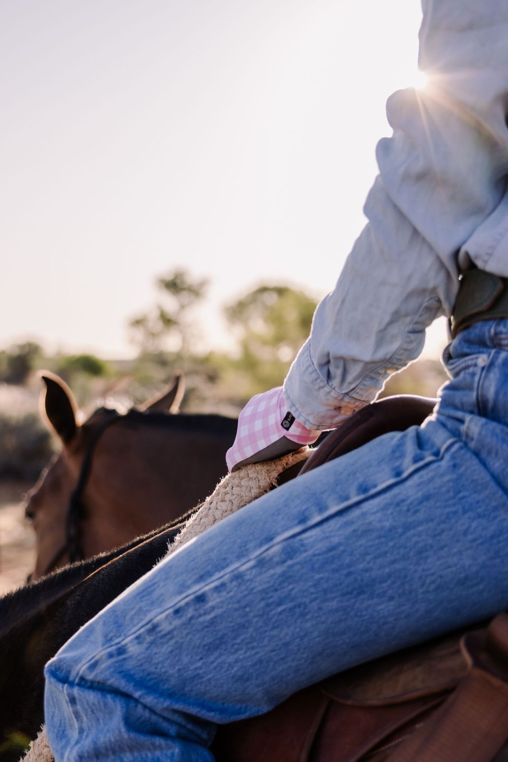 Rider wearing denim and white shirt mounted on horseback during golden hour.