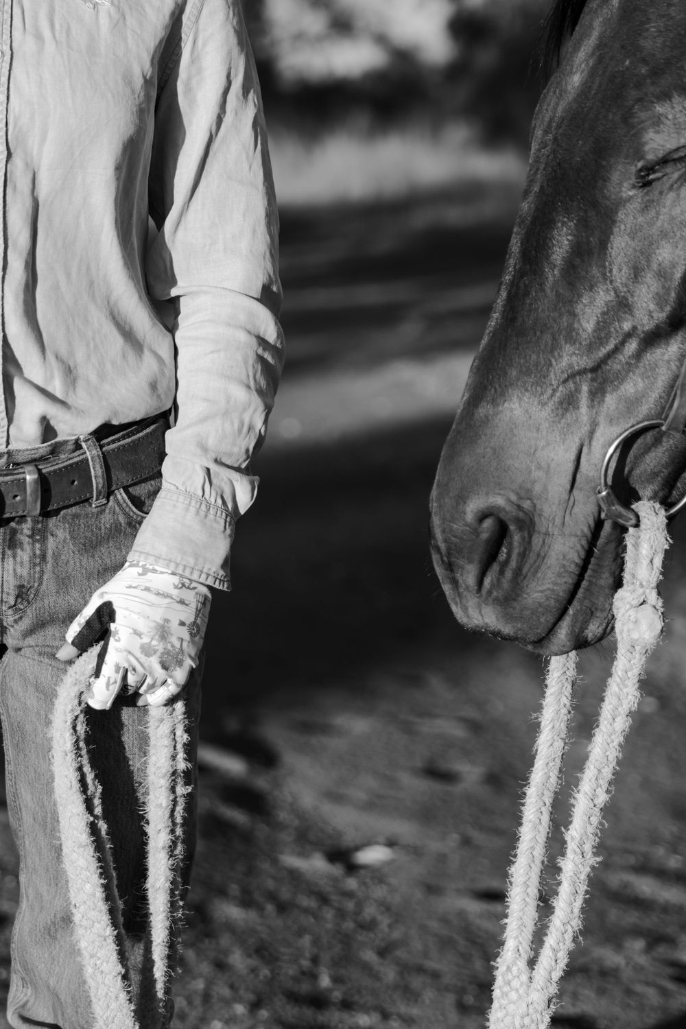 Black and white close-up of gloved hand holding reins next to horse's nose.