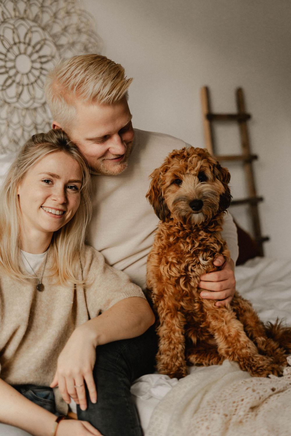 Cozy indoor portrait with a cute goldendoodle puppy sitting on white bedding near a decorative mandala wall art and ladder.