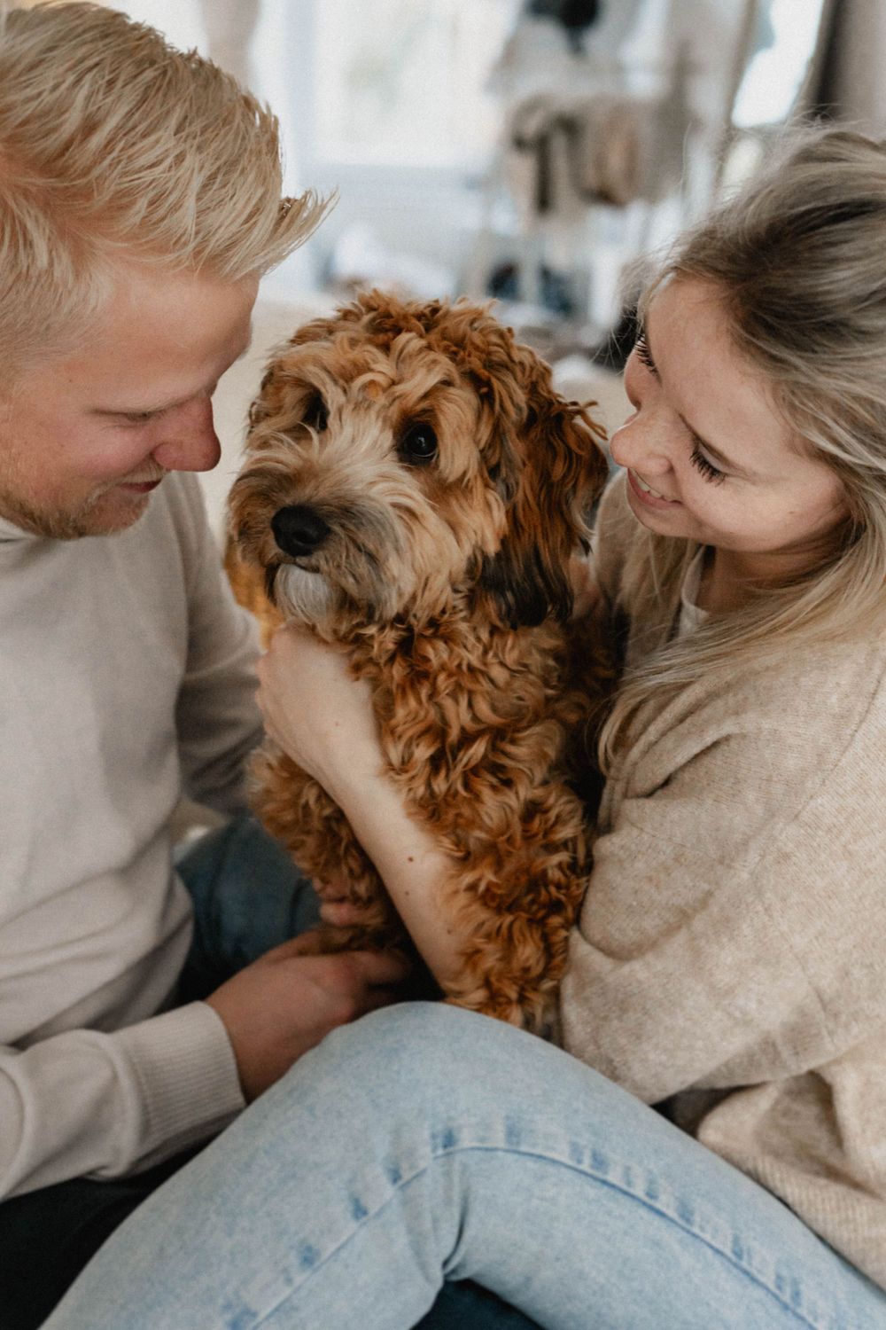 A couple snuggles with their adorable brown Goldendoodle puppy in a cozy indoor setting.