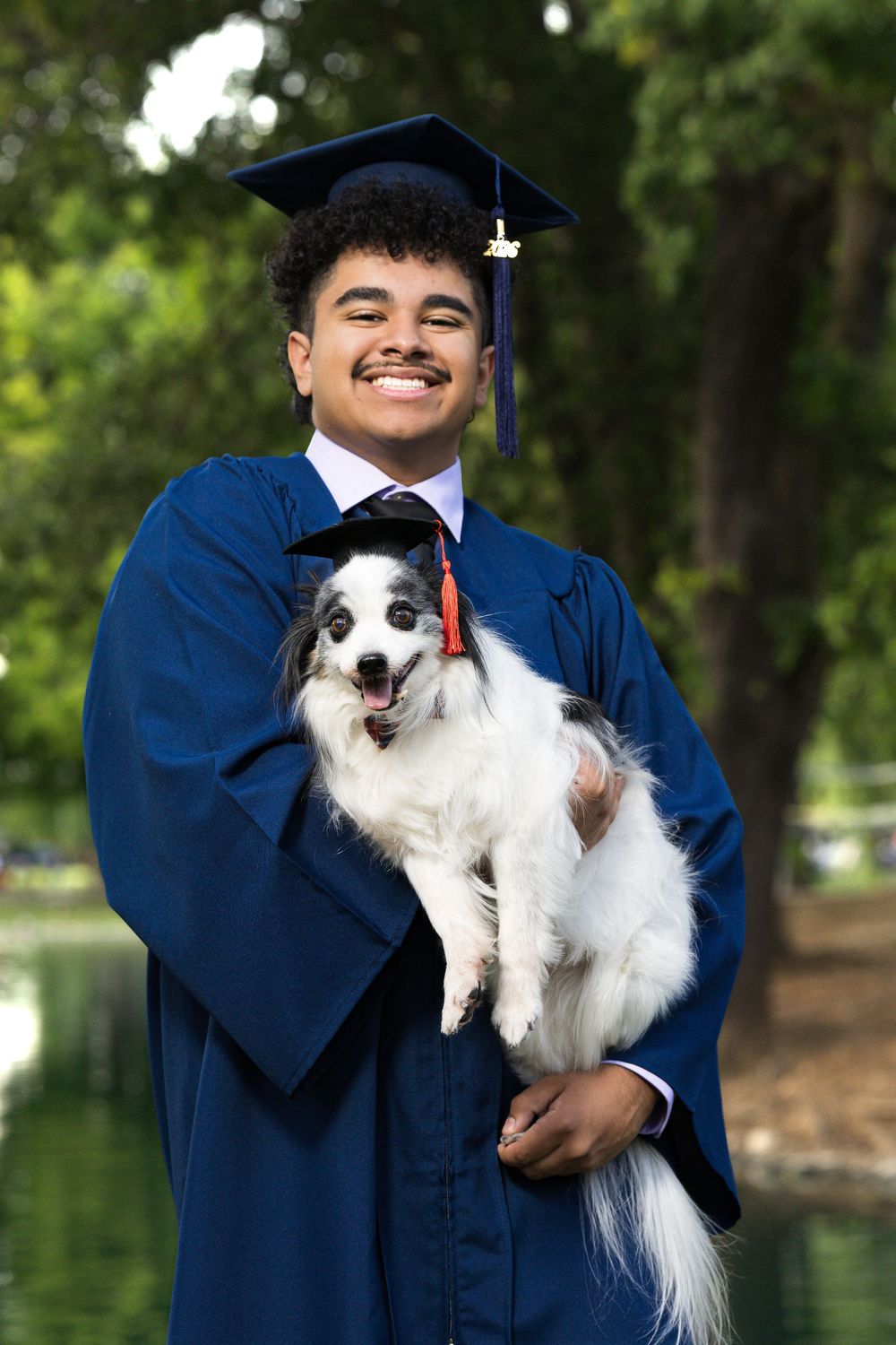 Smiling graduate in blue cap and gown holding a fluffy black and white dog outdoors near a pond.