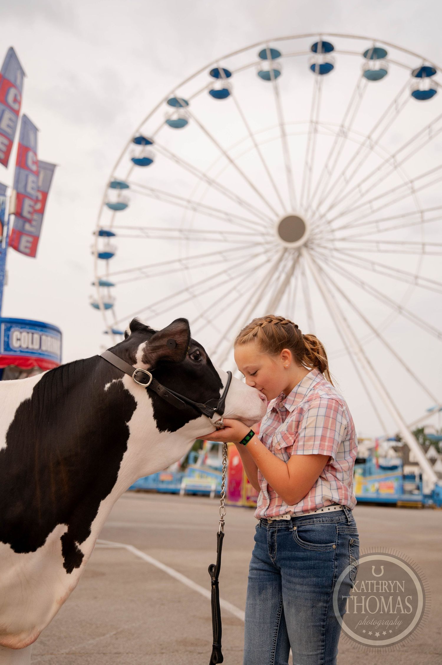 Person and dairy cow interacting at fair with large ferris wheel in background.