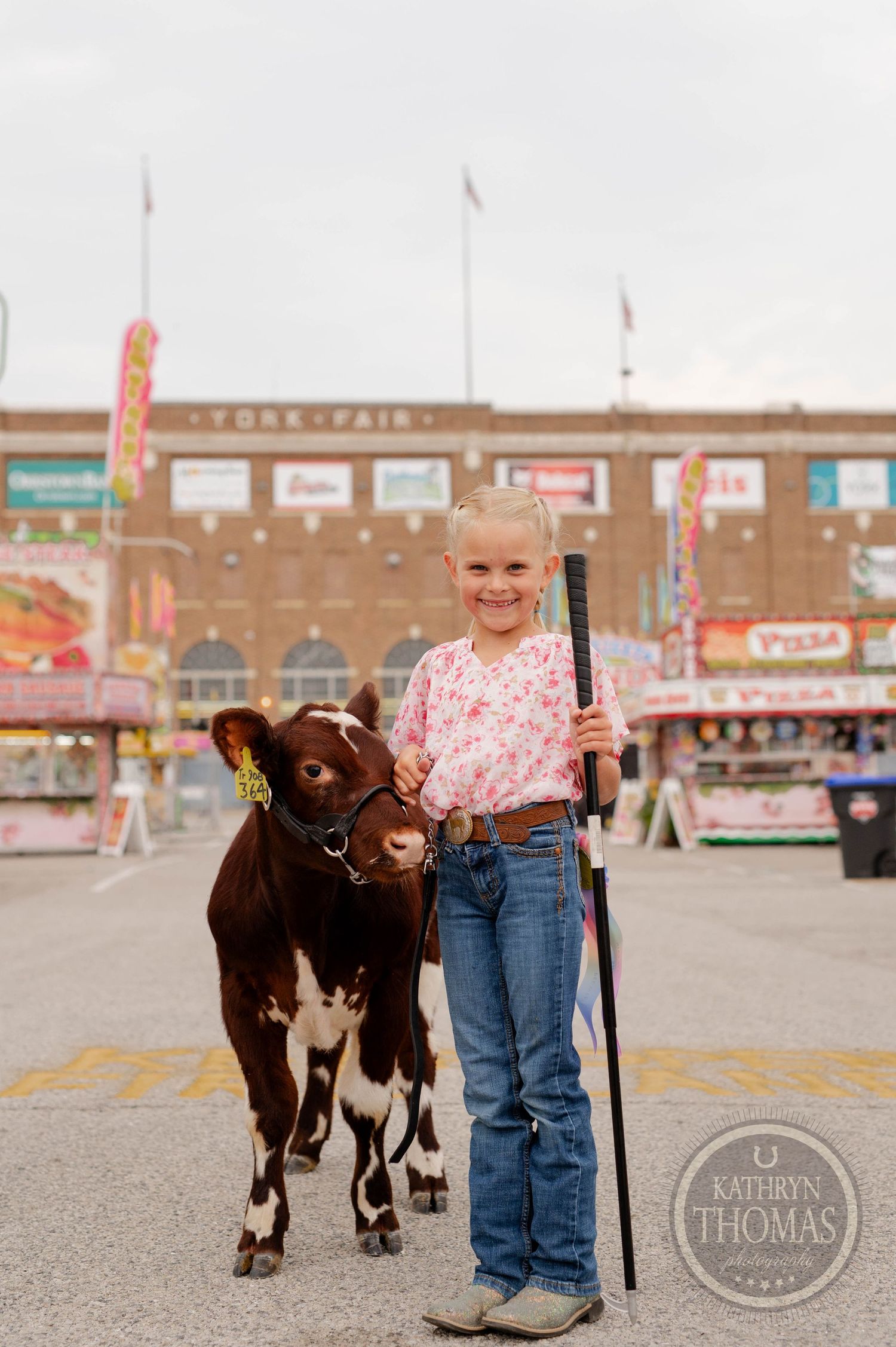 Young exhibitor with brown and white dairy calf at county fair carnival.