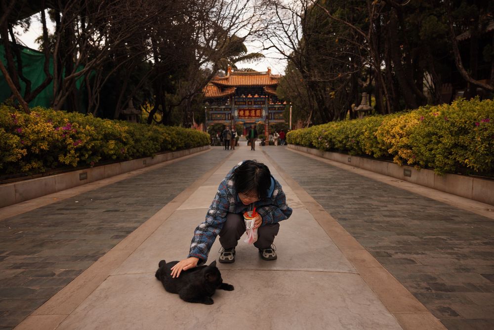 Child crouched down while playing on a walkway leading to traditional Japanese temple gates with yellow flowers nearby.