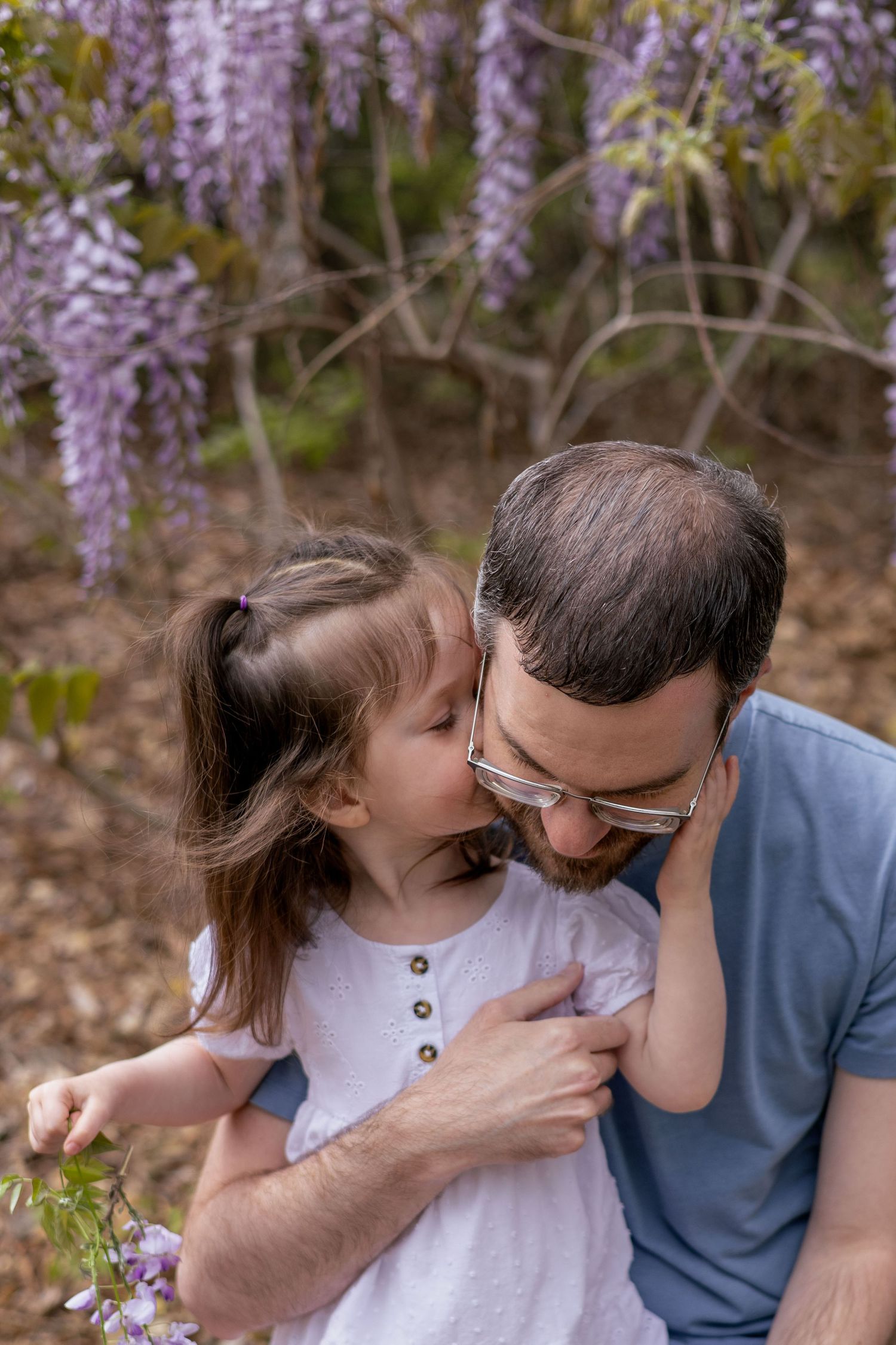 A girl snuggles her dad under the wisteria.