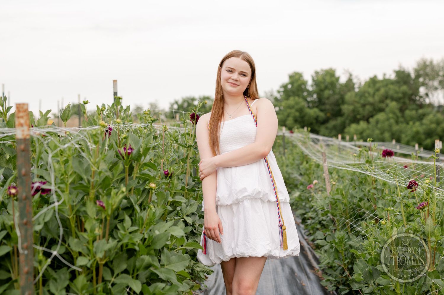 Senior portrait in white dress standing by garden trellis with flowering vines.