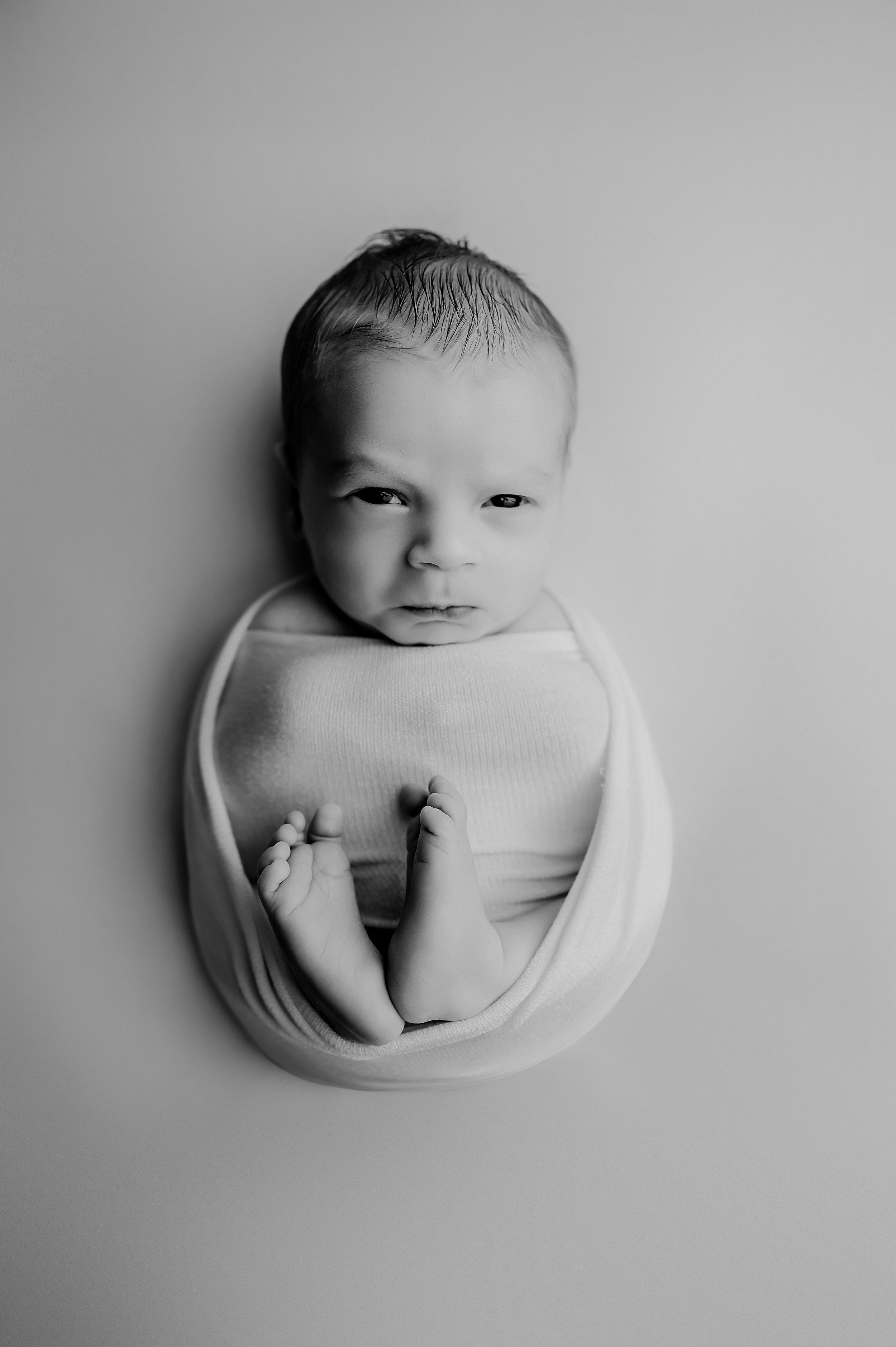 A series of five artistic black and white newborn photography portraits showing gentle poses in soft focus.