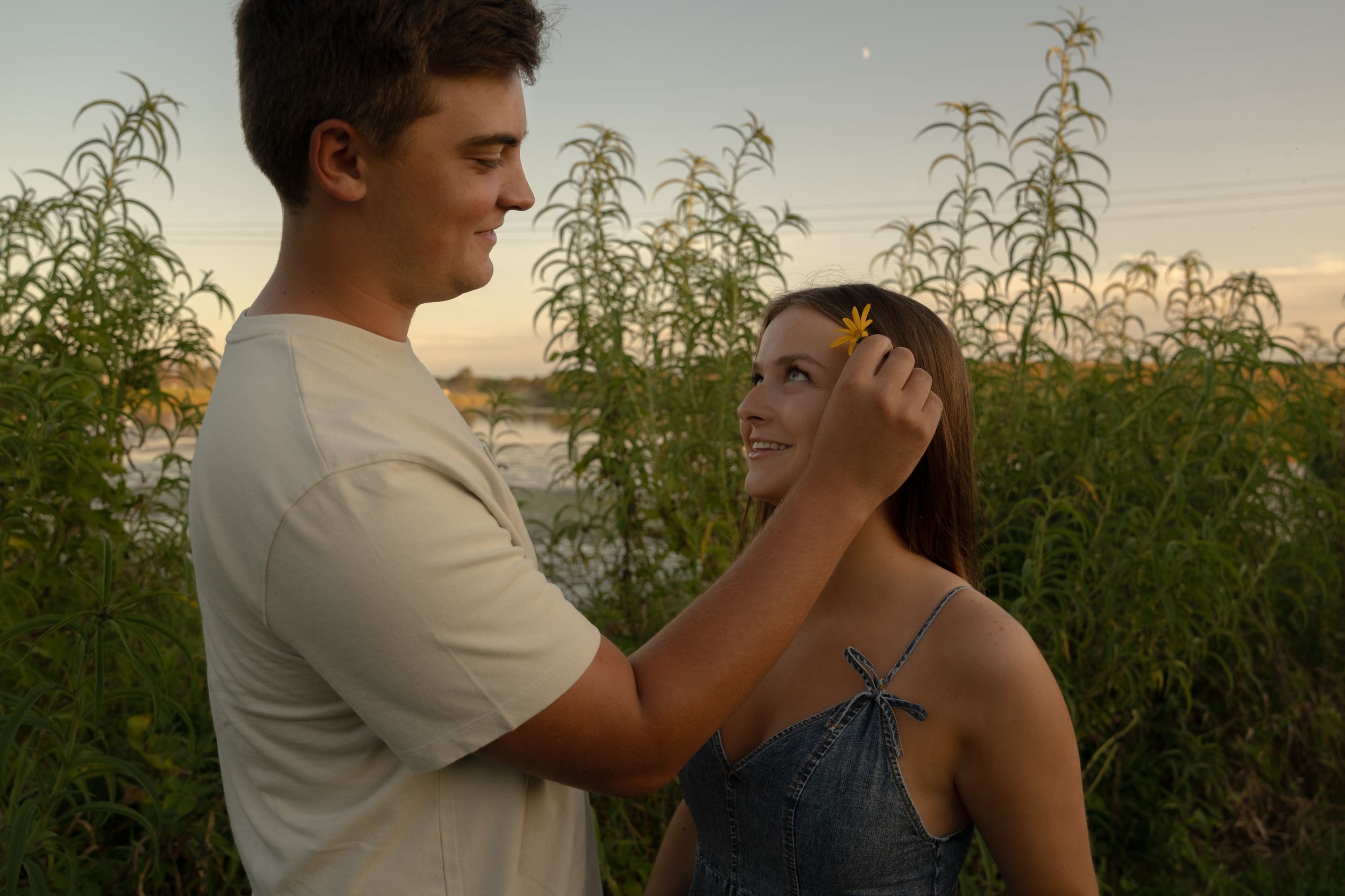 Romantic couple shares intimate moment during golden hour in field of tall plants.