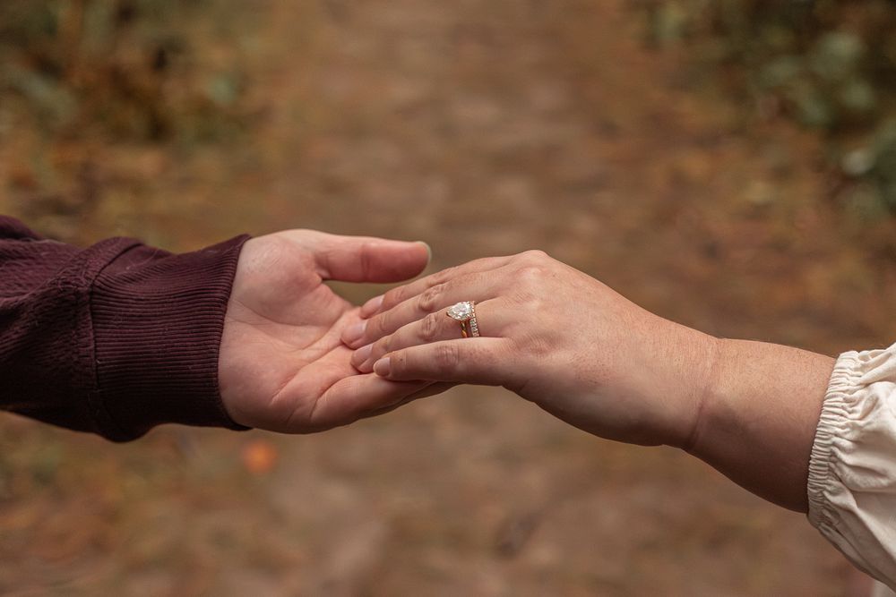 Close-up of two hands reaching towards each other in a tender moment on a forest path.