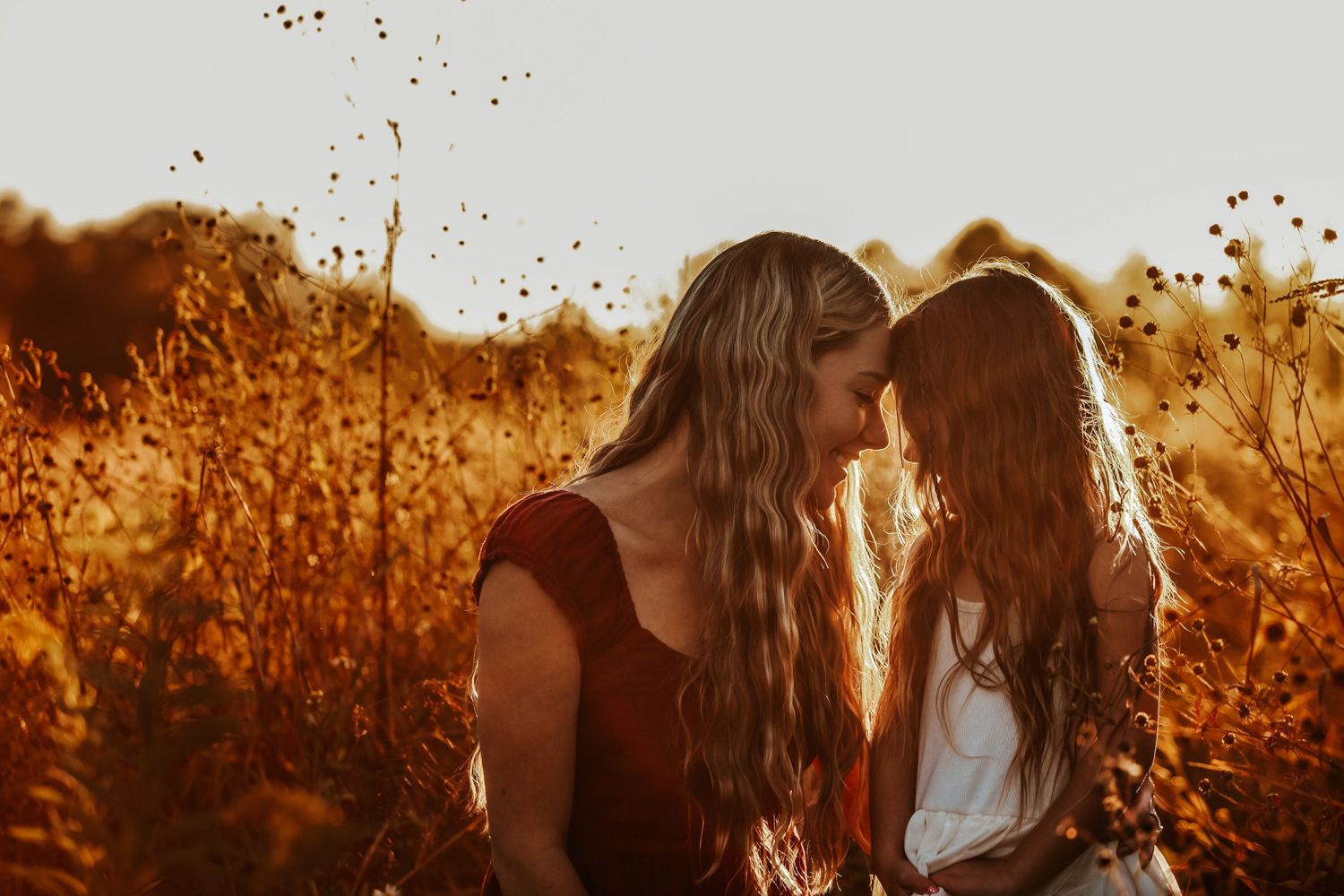 Silhouettes stand together in a sun-drenched field during golden hour.