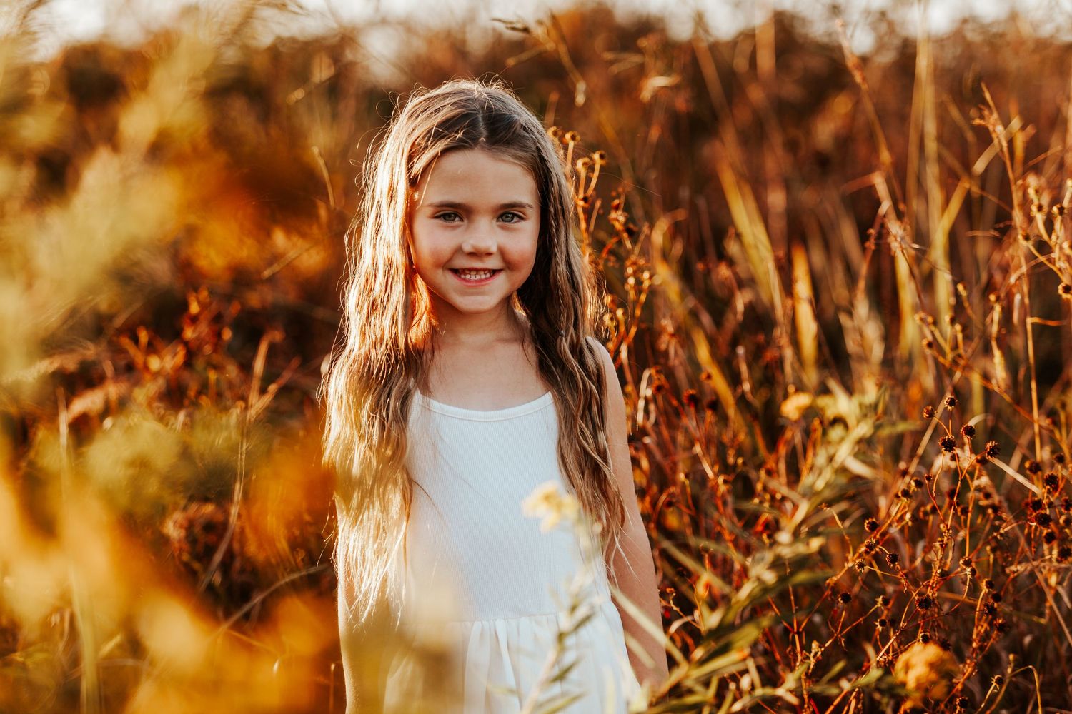 Ethereal golden light illuminates a field of tall grass and wildflowers at sunset.