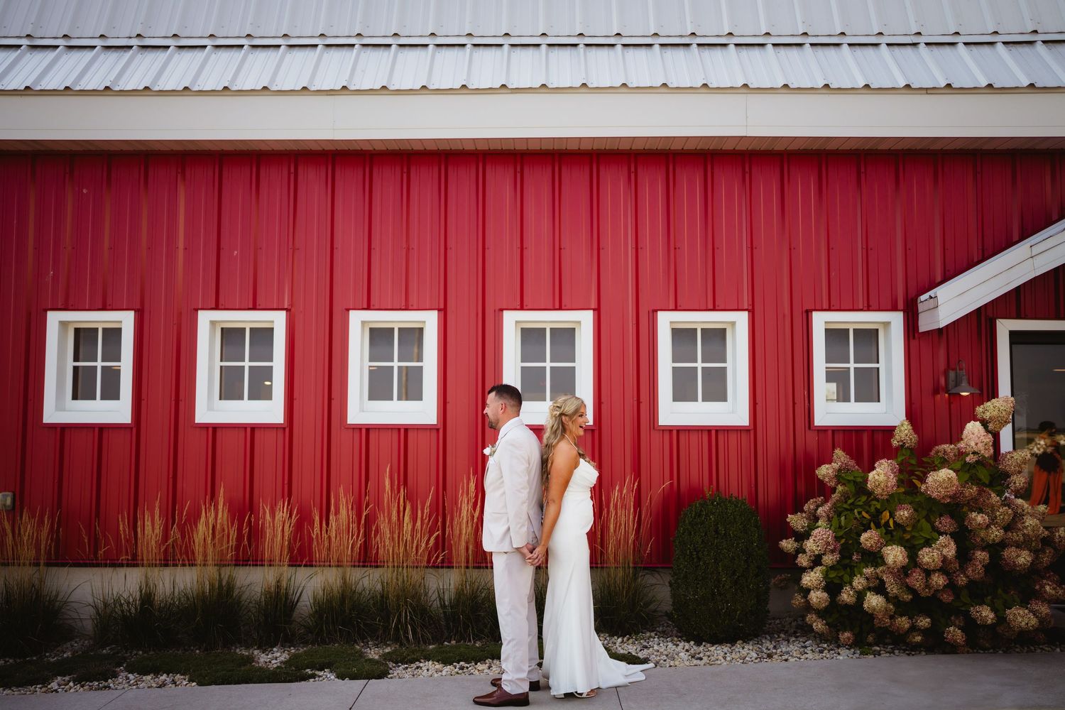 A couple stands against a red barn with white trim windows and hydrangea bushes at sunset.