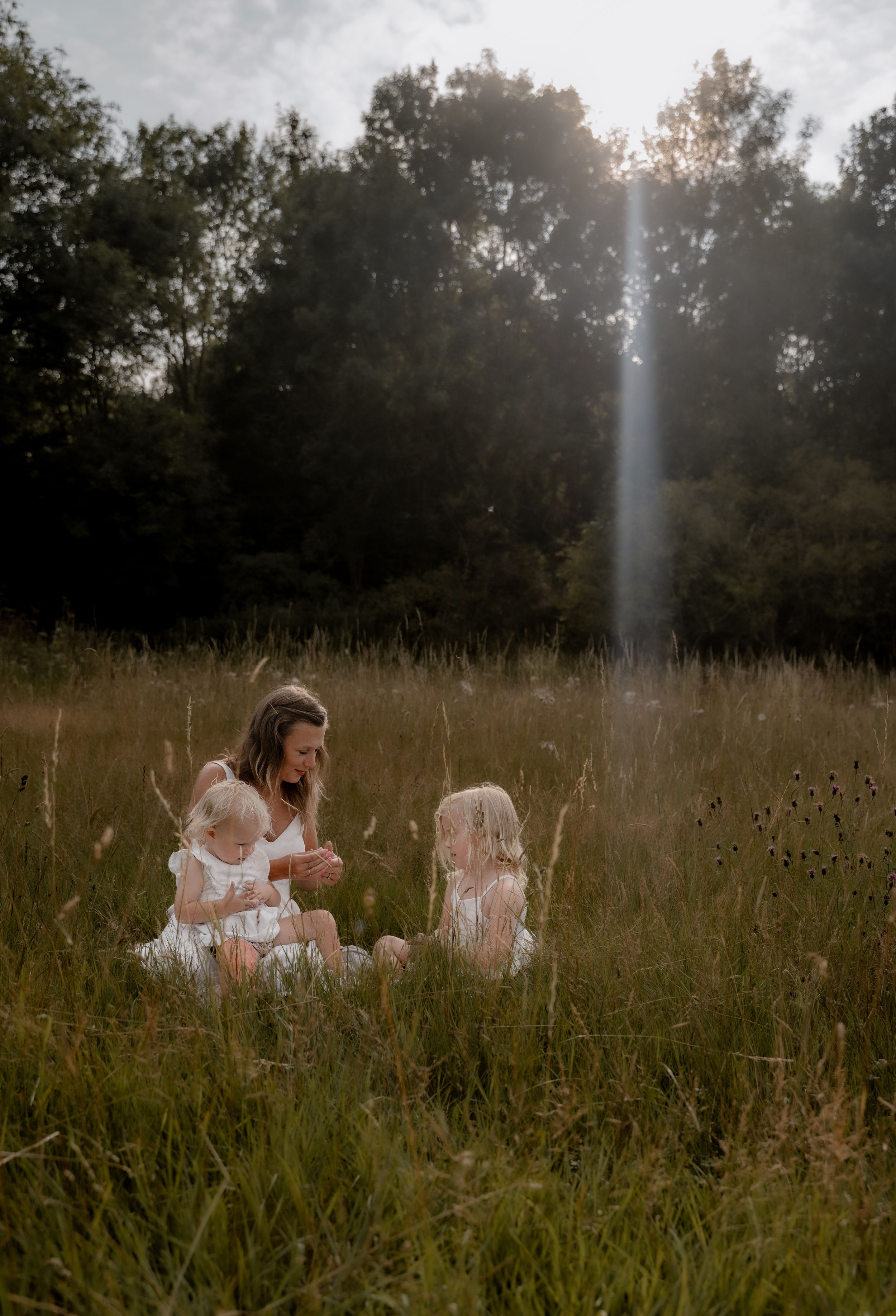 A dreamy photoshoot in a golden field at sunset shows a family sitting together in tall grass.