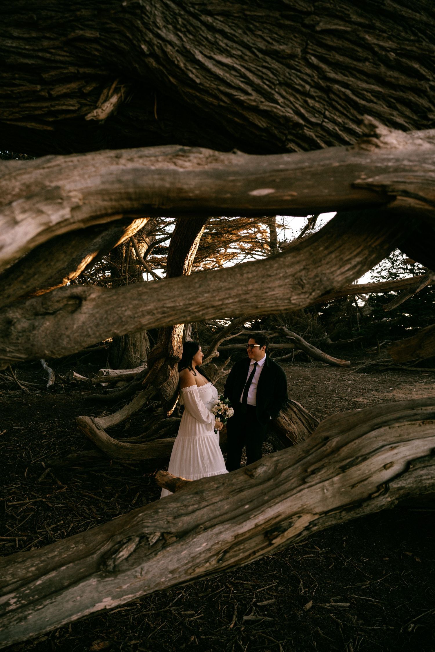 A couple in wedding attire poses under fallen logs at a rustic outdoor location in moody lighting.