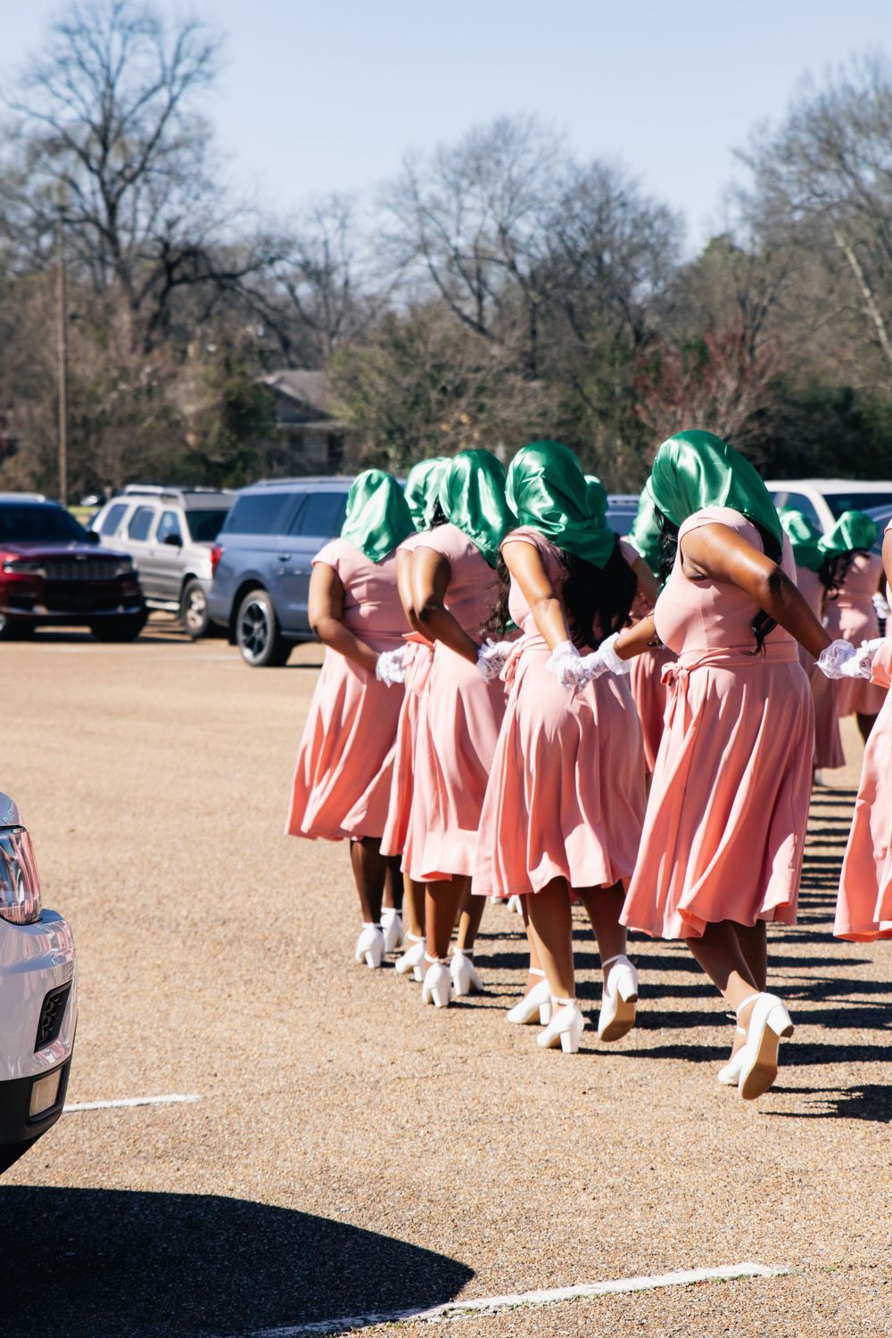 Group wearing coordinated pink outfits and green accessories lined up on outdoor grounds.