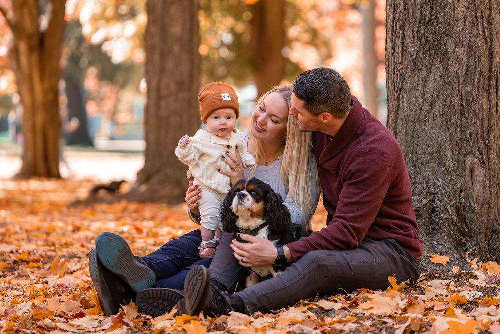 Family sits together with their black and white dog on fallen autumn leaves in a park setting.