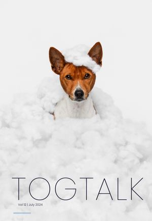 A Jack Russell Terrier dog peeks out from fluffy white cotton-like material on a magazine cover titled TOGTALK.