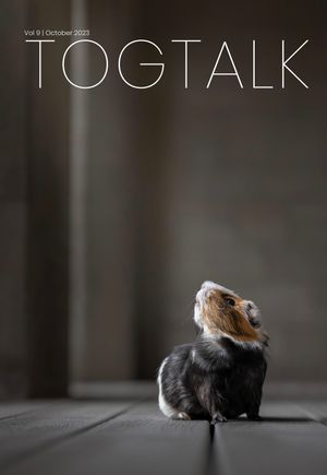 A small hamster sits in profile view on a dark surface against a blurred background.