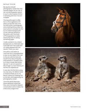 Artistic equine and wildlife photography collage showing horses and wolves in dramatic dark lighting against black backgrounds.