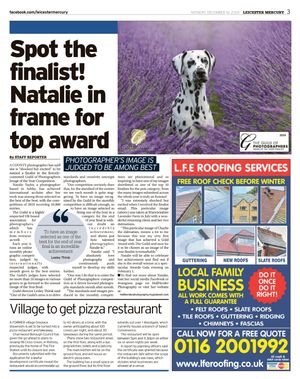 Newspaper clippings layout showing various local business advertisements and articles with purple tinted edges.