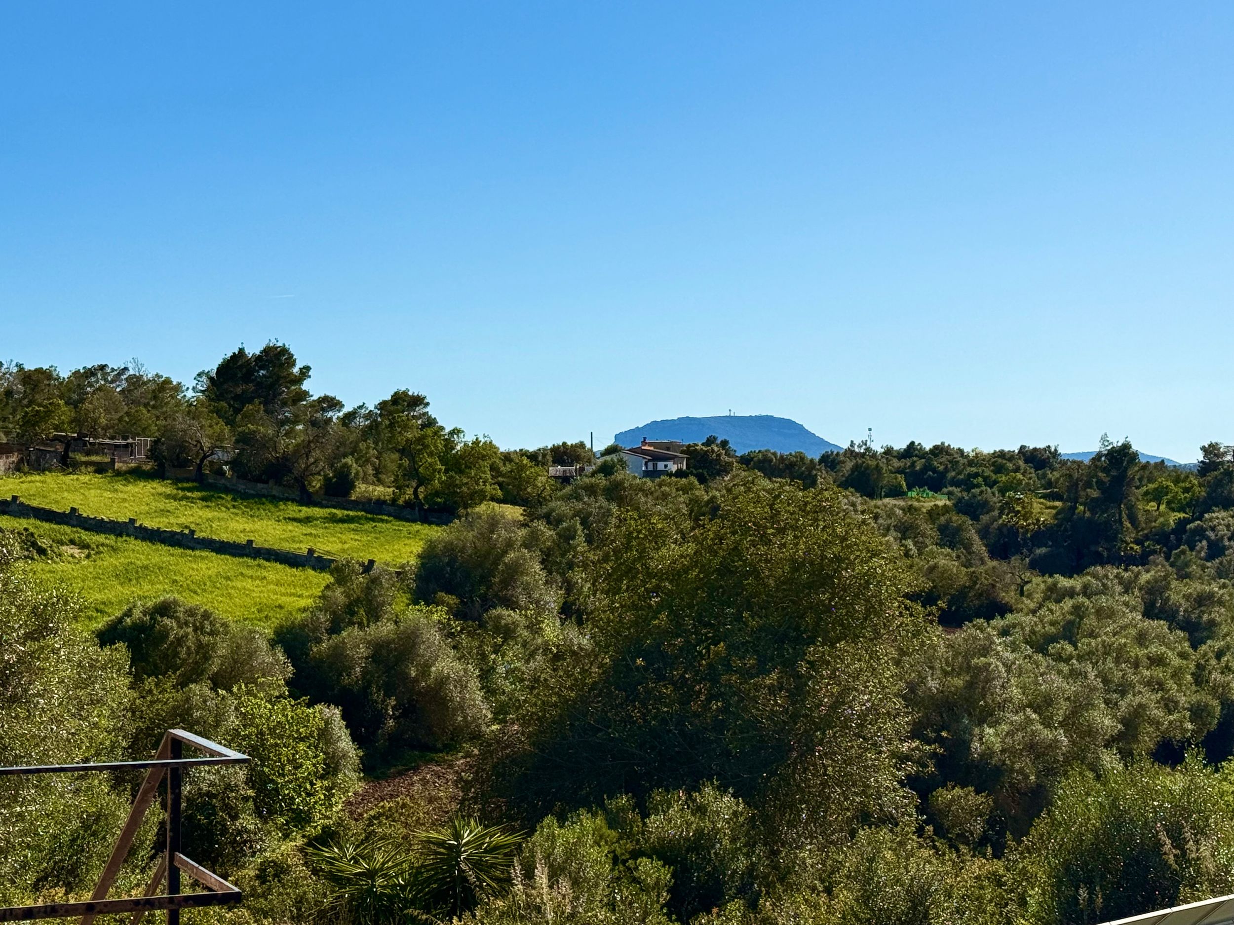 Lush green hillside landscape with olive trees, dense vegetation, and a blue-roofed building under a clear blue sky.