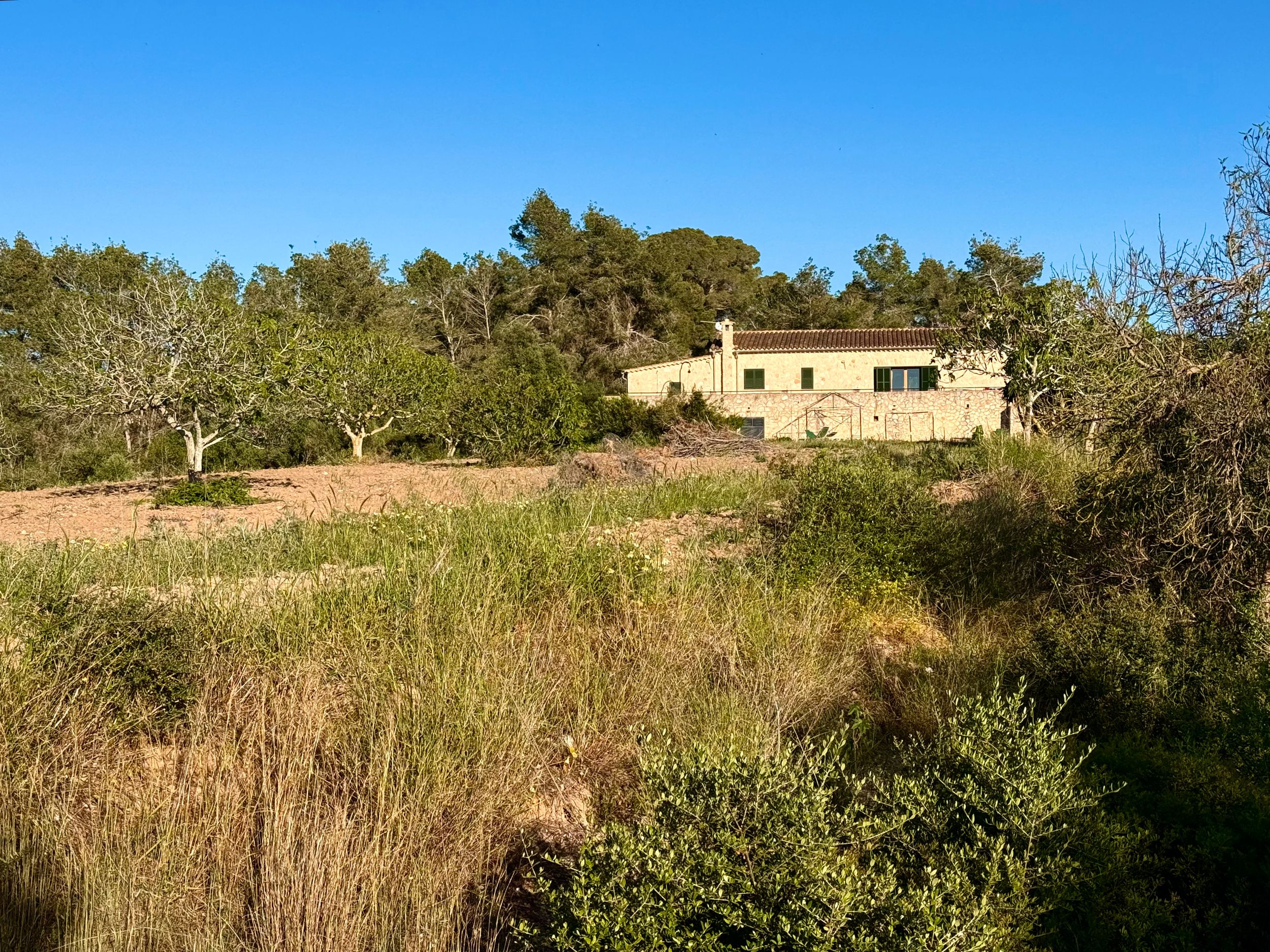 Rural stone farmhouse surrounded by lush Mediterranean vegetation and pine trees under a clear blue sky.