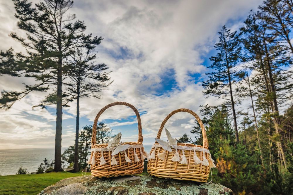 Wooden Adirondack chairs line up along a scenic coastal overlook with tall evergreen trees and dramatic cloudy skies.