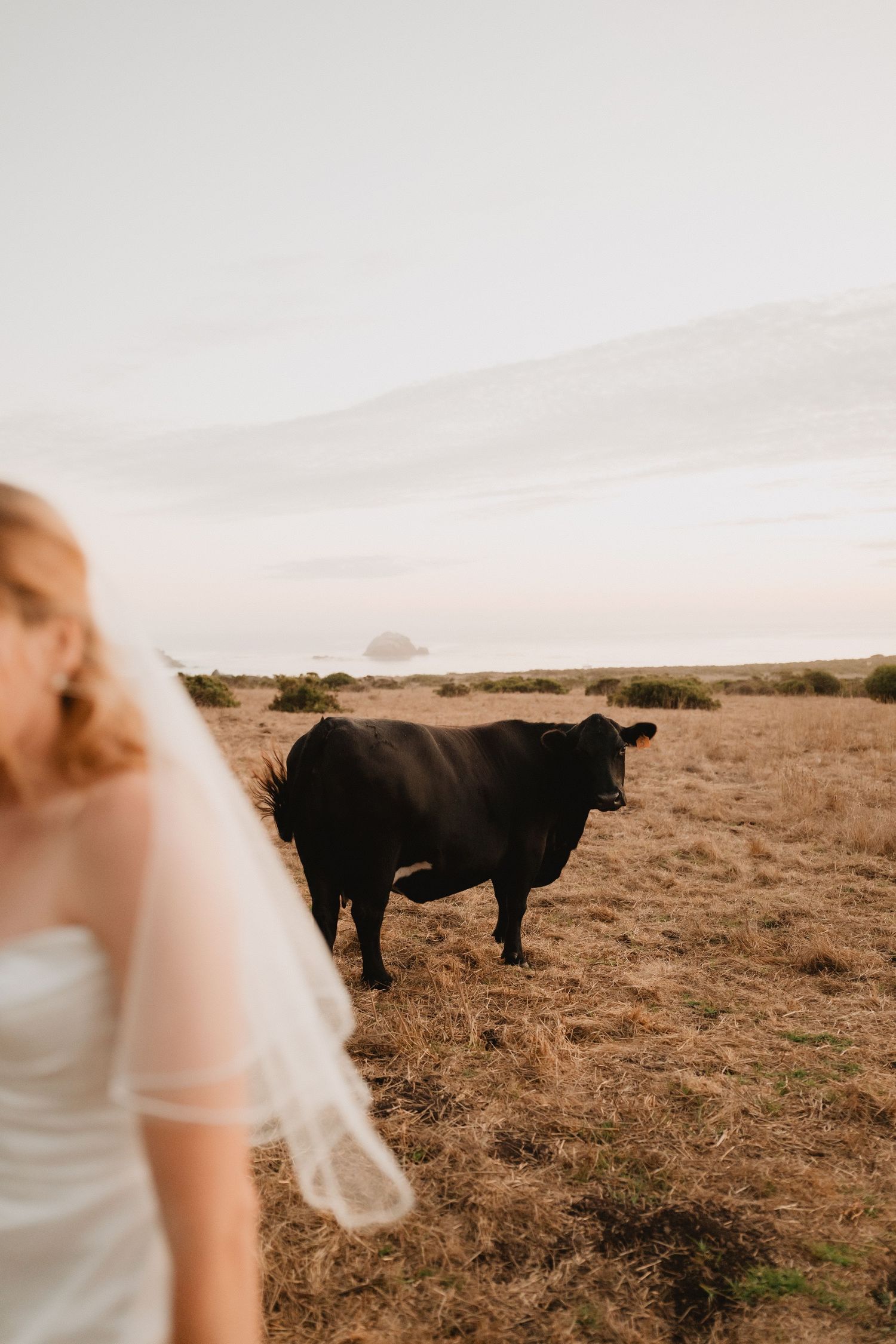 treebones resort elopement bride and groom photos