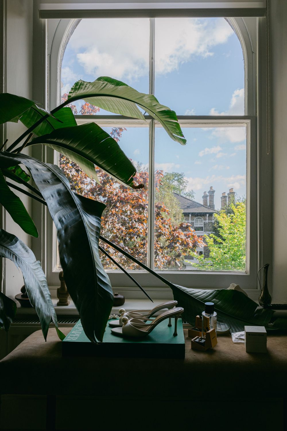 Large windows with tropical plants silhouetted against blue sky and buildings in an interior space.