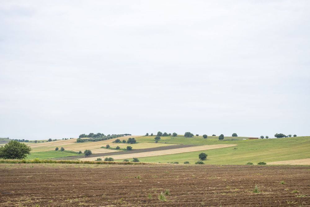 Rolling green hills with agricultural fields and scattered trees stretch across a rural landscape under a cloudy sky.