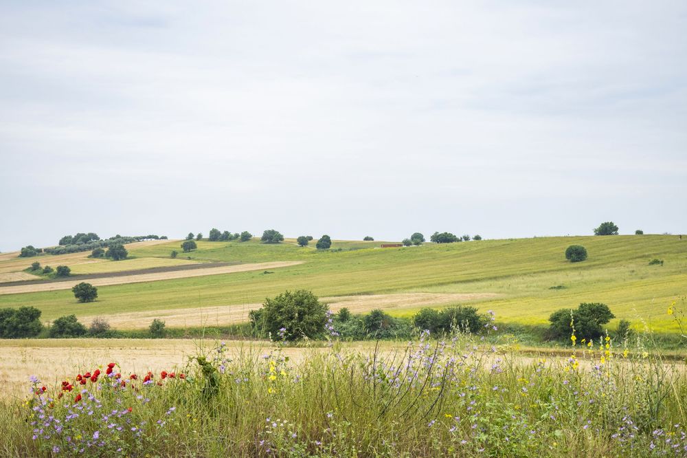 Rolling green hills and meadows stretch across a scenic rural landscape under a bright summer sky.
