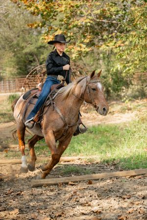 A rider on horseback jumps over a dirt trail in an autumn forest setting.