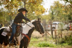 Rider on black and white horse during autumn trail ride with blurred foliage background.