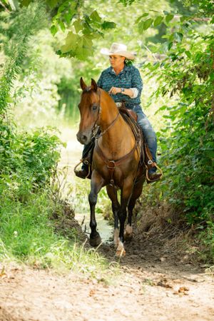 Horseback rider traveling through lush green wooded trail on brown horse.