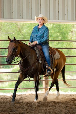 Rider in blue shirt and cowboy hat mounted on dark horse in indoor arena.