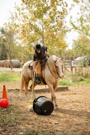 A palomino horse navigating around orange cones and barrels in a training course.