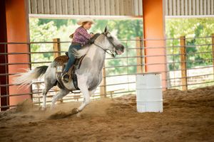 Horse and rider racing around barrel in covered arena during speed training.