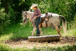 Horse and rider navigating elevated wooden bridge obstacle on training course.