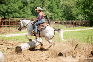 Horse and rider jumping over a wooden log obstacle in an outdoor training course.