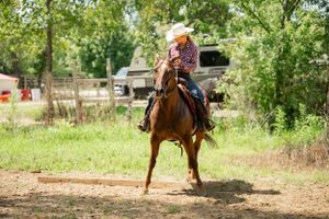 Western horse and rider practicing on outdoor riding course among trees.