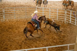 Rider practicing cattle roping techniques in round pen arena.